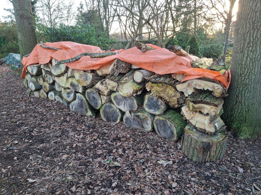 haardhout populier €60 m3, Tuin en Terras, Haardhout, 6 m³ of meer, Ophalen, Overige houtsoorten, Blokken