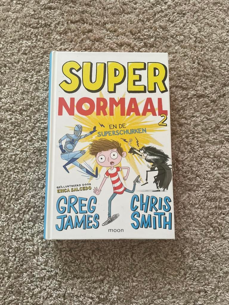 Super normaal, Boeken, Ophalen of Verzenden, Zo goed als nieuw, Verhalen