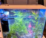 Aquarium 45 L  + accessoires, Dieren en Toebehoren, Ophalen, Gebruikt, Leeg aquarium