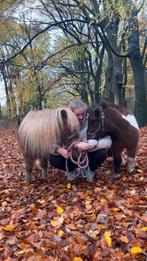 Bijrijdster op zoek naar verzorgpaard, Ophalen
