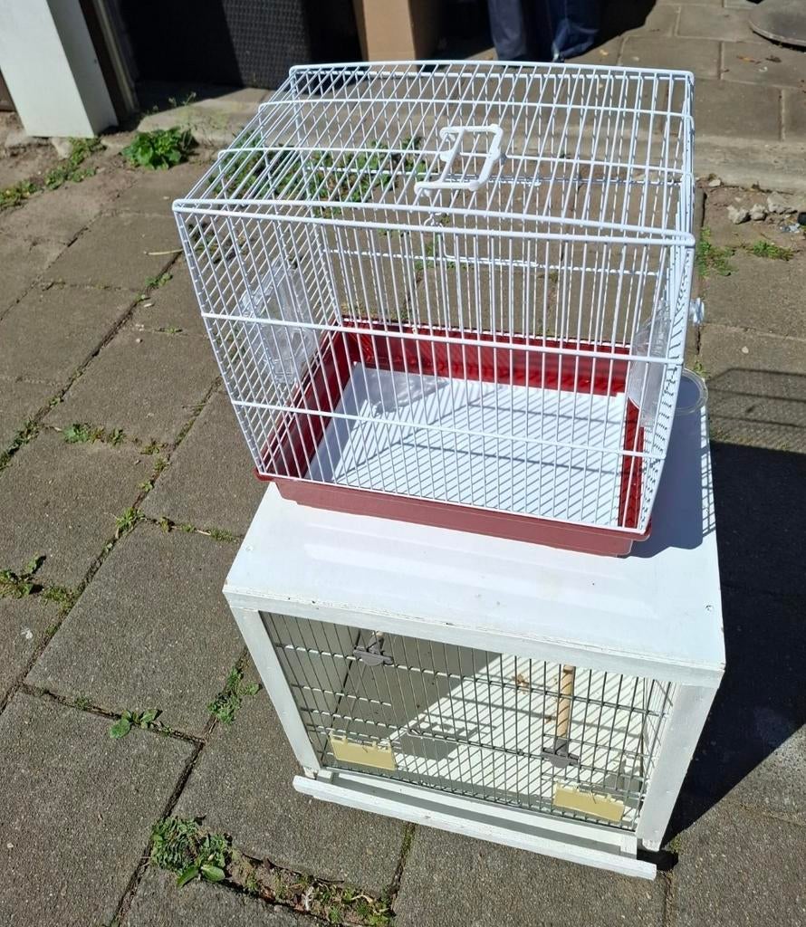 Vogelkooi, Dieren en Toebehoren, Vogels | Hokken en Kooien, Ophalen of Verzenden, Hout, Vogelkooi