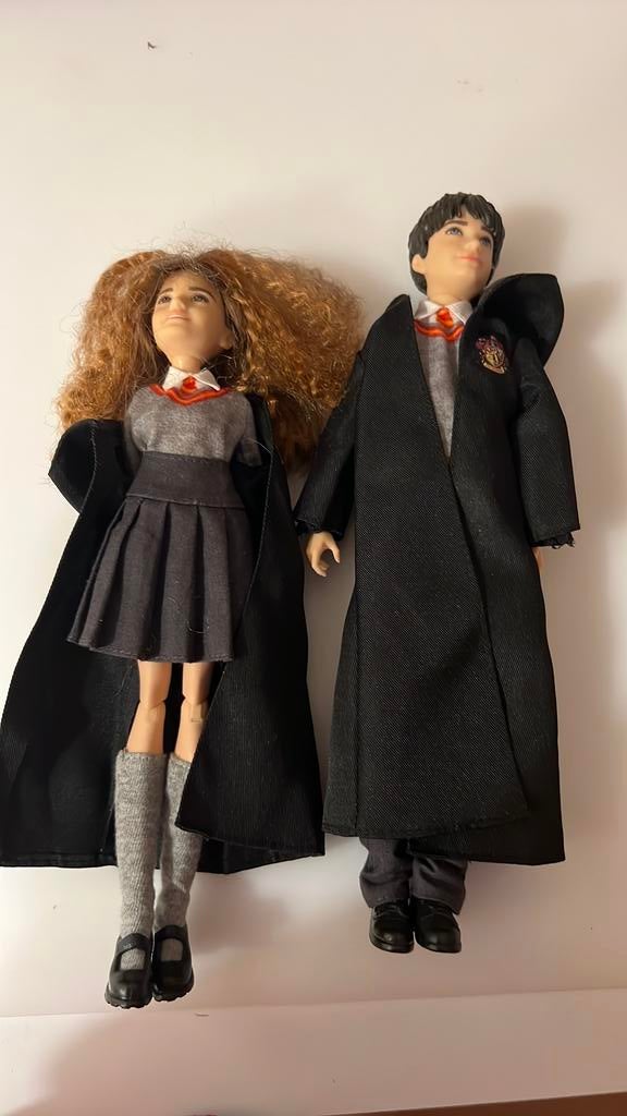 Harry potter Barbies, Ophalen of Verzenden, Zo goed als nieuw, Boek of Poster
