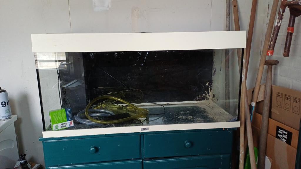 Aquarium, Dieren en Toebehoren, Vissen | Aquaria en Toebehoren, Ophalen, Plant(en), Steen of Hout