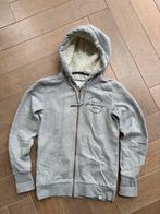 Superdry vest maat 36, Ophalen of Verzenden, Zo goed als nieuw, Maat 36 (S)