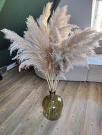 Grote glazen vaas met pampasgras - stijlvolle decoratie, Ophalen, 75 cm of meer, Groen, Glas