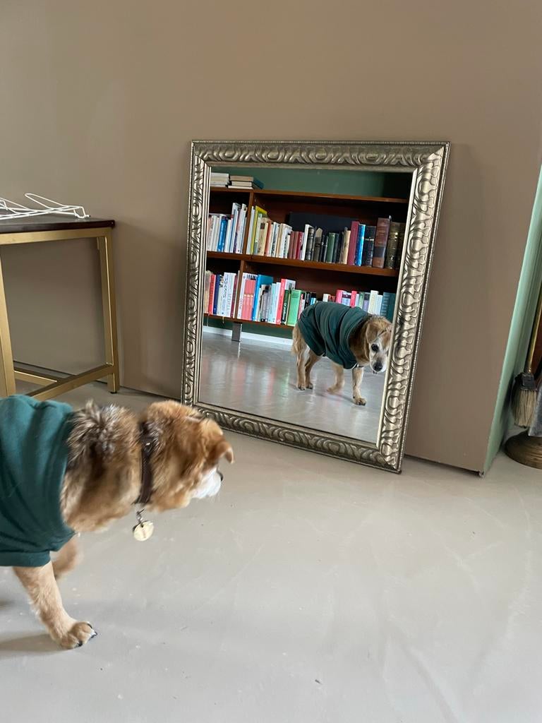 Spiegel met zilverkleurige rand, 70x60 cm, Xenos, Ophalen of Verzenden, Zo goed als nieuw, Minder dan 100 cm, Rechthoekig