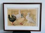 Litho Nuyens Bungartz Lubbert Vogels Duif Pigeon 1883, Ophalen of Verzenden