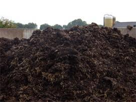 mooie rundvee stro mest aangeboden, Tuin en Terras, Aarde en Mest, Ophalen