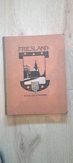 Verkade Plaatjesalbum Friesland 1918, Boeken, Prentenboeken en Plaatjesalbums, Ophalen of Verzenden, Gelezen, Jac.P.Thijsse, Plaatjesalbum