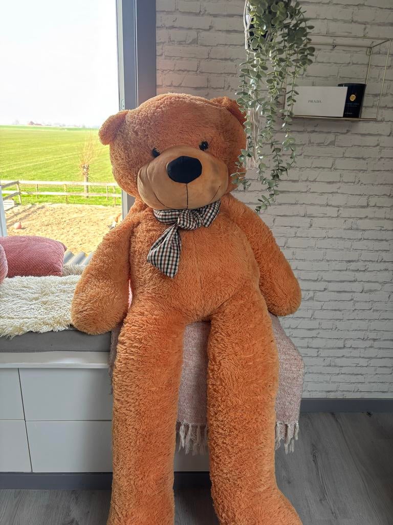 Grote bruine teddybeer, Ophalen, Gebruikt, Beer