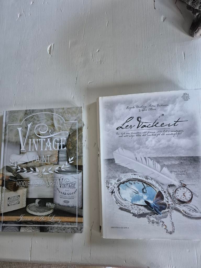 2 prachtige brocante woonboeken - 400 blz leesplezier!, Boeken, Ophalen of Verzenden, Zo goed als nieuw, Interieur en Design