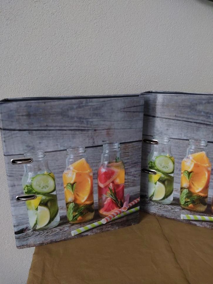 2x Ordner - Fruit/Groentesap Design nieuw, Diversen, Papierwaren, Nieuw, Ophalen of Verzenden