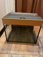 Aquarium, Dieren en Toebehoren, Vissen | Aquaria en Toebehoren, Ophalen, Gebruikt, Leeg aquarium