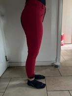 Nieuwe rijbroek te koop, Ophalen of Verzenden, Nieuw, Dressuur