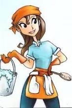 Schoonmakster gezocht, Overige niveaus, Overige vormen