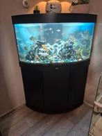 Juwel aquarium hoek, Dieren en Toebehoren, Vissen | Aquaria en Toebehoren, Ophalen of Verzenden, Zo goed als nieuw, Leeg aquarium