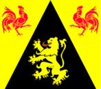 vlag Waals Brabant 90 x 150 cm, Nieuw, Ophalen of Verzenden