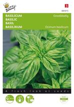 Basilicum, Ophalen of Verzenden, Voorjaar, Volle zon, Zaad
