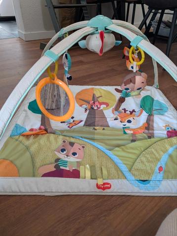 Tiny Love babygym beschikbaar voor biedingen