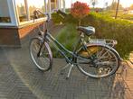 Gazelle Furore dames fiets, Ophalen, Versnellingen, Gazelle, 53 tot 56 cm