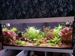 Juwel rio 450 aquarium, Dieren en Toebehoren, Vissen | Aquaria en Toebehoren, Ophalen, Zo goed als nieuw, Gevuld zoetwateraquarium