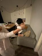 Bordercollie puppy ‘ s nog 1 teefje ter beschikking 🐶😍, Dieren en Toebehoren, Honden | Herdershonden en Veedrijvers, 8 tot 15 weken