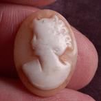 Oude Camee Gesneden van Schelp, Verzenden, Gebruikt