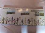 Wilde planten flora en vegetatie in onze natuurgebieden, Ophalen of Verzenden, Gelezen, Bloemen, Planten en Bomen