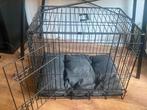 Zo goed als nieuwe hondebench 60x43x52 van sterk materiaal, Dieren en Toebehoren, Hondenhokken, Ophalen, Zo goed als nieuw, 110 cm of meer