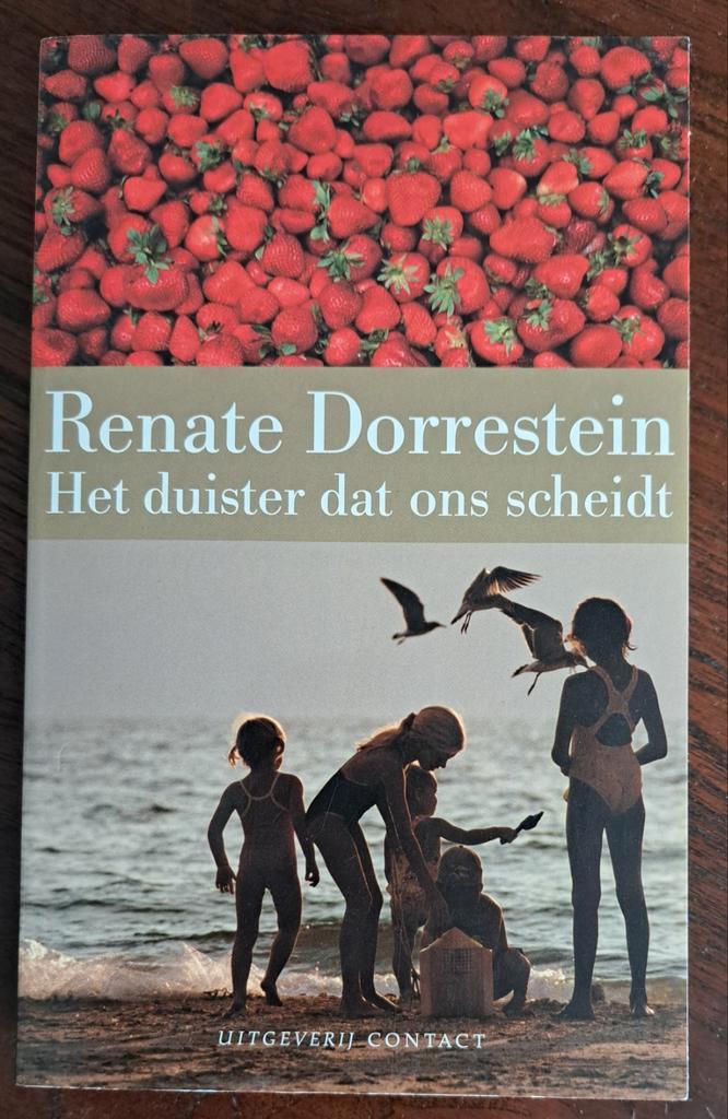 Het duister dat ons scheidt - Renate Dorrestein, Boeken, Romans, Zo goed als nieuw, Ophalen of Verzenden