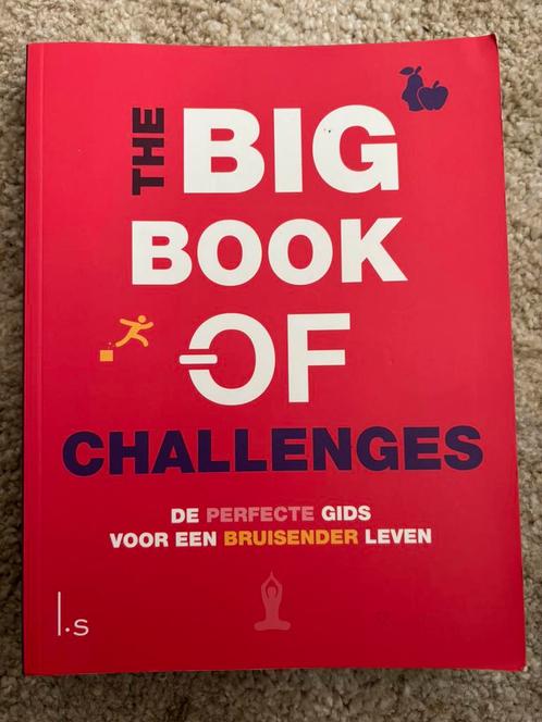 Sabine Hausmann - The big Book of Challenges, Boeken, Overige Boeken, Zo goed als nieuw, Ophalen of Verzenden
