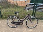 Damesfiets Batavus  Bologna 28 inch ban. 3 versnellingen, Ophalen, Versnellingen, Batavus, 53 tot 56 cm