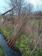 Mooie  grote  wilgen takken  knotwilg wilgen tenen, Tuin en Terras, Planten | Bomen, Ophalen of Verzenden, Bloeit niet, Volle zon