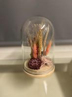 Decoratieve stolp met droogbloemen - Nieuw, Huis en Inrichting, Woonaccessoires | Stolpen, Ophalen of Verzenden, Nieuw