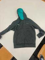 Mercedes AMG F1 hoodie van Puma, Kleding | Heren, Ophalen of Verzenden, Gedragen