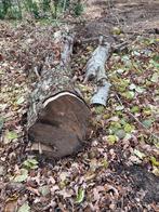 Te koop haardhout, Tuin en Terras, Haardhout, Minder dan 3 m³, Ophalen of Verzenden, Overige houtsoorten, Stammen