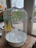 Parkietenkooi, Dieren en Toebehoren, Ophalen, Zo goed als nieuw, Metaal, Vogelkooi