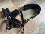 Halster Kentucky, Dieren en Toebehoren, Ophalen of Verzenden, Gebruikt, Overige soorten