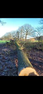Opsnoeien/zaagwerk gezocht, Ophalen of Verzenden, Compost