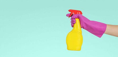 Gezocht; betrouwbare en ervaren schoonmaakster/hulp Zwolle, Vacatures, Vacatures | Schoonmaak en Facilitaire diensten, Overige niveaus