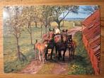 Dieren - Paarden - Emmen, Verzamelen, Ansichtkaarten | Dieren, Ophalen of Verzenden, Ongelopen, Paard