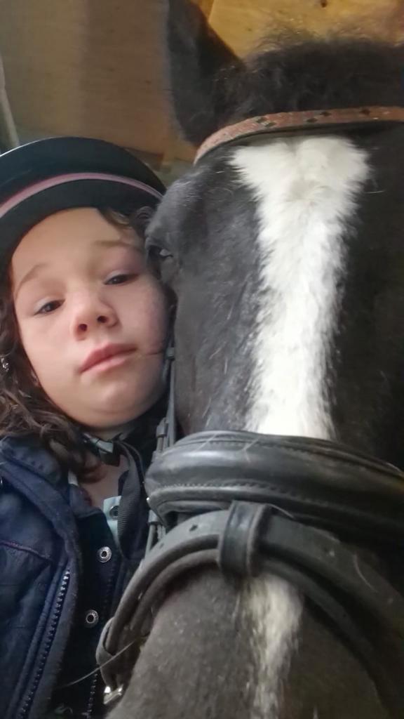 Verzorg pony gezocht, Dieren en Toebehoren, Paarden en Pony's | Verzorgingsproducten, Zo goed als nieuw, Ophalen of Verzenden
