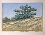 Kleurhoutsnede. Vliegden in Duin, Antiek en Kunst, Kunst | Etsen en Gravures, Ophalen of Verzenden