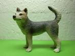 Schleich 16372 Husky, dierfiguur, Verzamelen, Ophalen of Verzenden, Gebruikt, Hond of Kat, Beeldje of Figuurtje