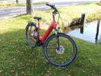 Pegasus Ravenna Framemaat 60 cm 500 WH accu, Overige merken, Pegasus, Info@pegasus-bikes.nl, Longericher Str 2
1688 jg  Keulen, DE