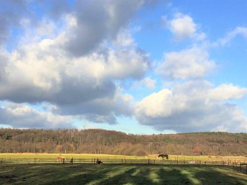 Hulp op kleine paardenstal (paddock paradise) welkom, Dieren en Toebehoren, Stalling en Weidegang, 4 paarden of pony's of meer