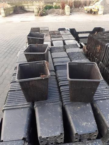 bloempotten potten beschikbaar voor biedingen
