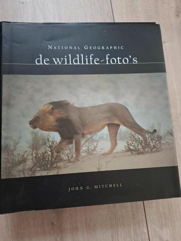 De Wildlife Foto's beschikbaar voor biedingen