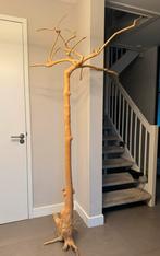 Koffieboom Java boom, Wandkapstok, Ophalen of Verzenden, Zo goed als nieuw, 150 tot 200 cm