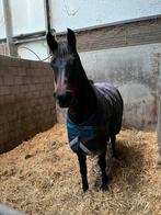 Stalling aangeboden, veel weidegang met alle faciliteiten!, Dieren en Toebehoren, Stalling